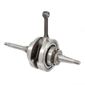 VILEBREQUIN RMS 100010560