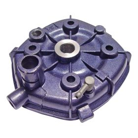 Zylinderkopf RMS 100070081