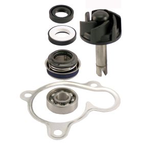 üBERHOLSATZ WASSERPUMPE RMS 100110270