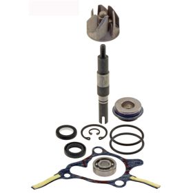 üBERHOLSATZ WASSERPUMPE RMS 100110310