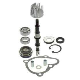 üBERHOLSATZ WASSERPUMPE RMS 100110460