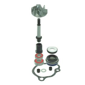 Kit reparation pompe à eau RMS 100110480