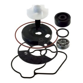 üBERHOLSATZ WASSERPUMPE RMS 100110540