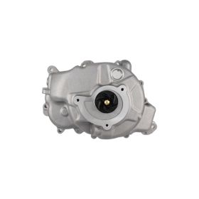 POMPE à EAU RMS 100110750