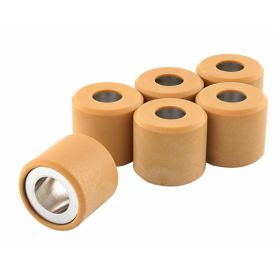 RMS 100400252 Variator rollers
