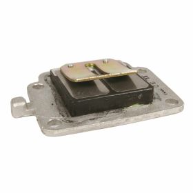 RMS Reed Pack für Minarelli 50cc 2T mit Dichtungen und Schrauben enthalten
