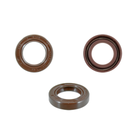 PARAOLIO VITON 20X32X7 82878R