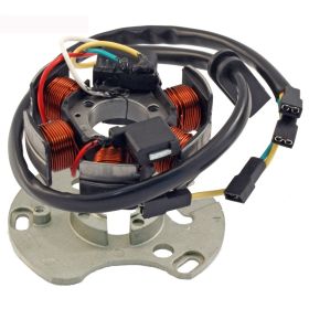 STATOR MOTO RMS 246350052