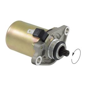 ANLASSER RMS 246390010