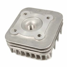 Zylinderkopf RMS 2865344