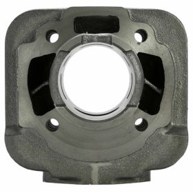 RMS Kit Cylindre 50 cc Fonte Ductile 40mm 2 Anneaux Base 52mm