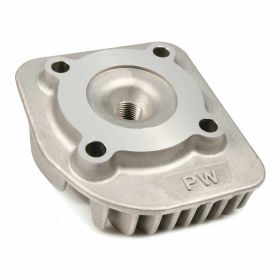 Zylinderkopf RMS R100070030