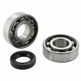 Kit de roulements RMS pour arbre moteur avec joint 15x24x5mm