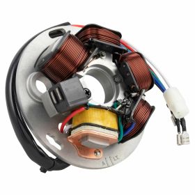 Statore CIF 80W con 5 bobine e cavi