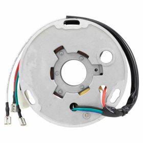 Statore CIF 80W con 5 bobine e cavi