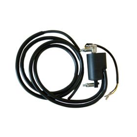 Dual ignition coil SGR 12V resistance of 4.3 OHM