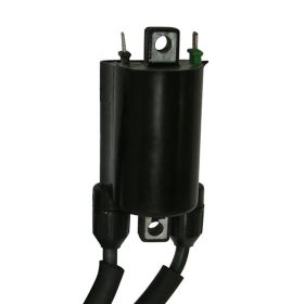 Bobina doppia accensione SGR 12V 2 faston resistenza di 2,7 OHM