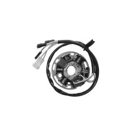 Statore SGR 6 poli con piastra e Pick-up