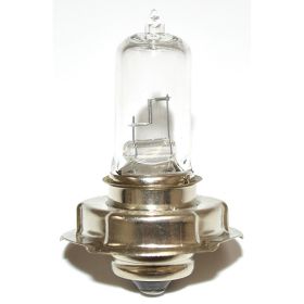 Ampoule Sgr Alognea 12V 20W