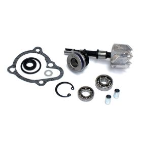 Kit riparazione pompa acqua Sgr per kymco 250 grandink/b&w