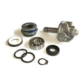 Sgr Wasserpumpen-Reparaturset für Aprilia 250 Leonardo