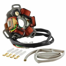 SIL Stator 12V 120W Haute Efficacité