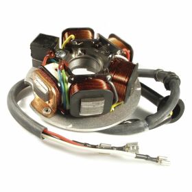 AEL Stator 199500 with e-start 5 coils and cables