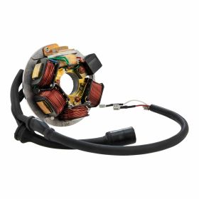 AEL Stator 199495 497654 for electric motors 5 coils and 6 cables included