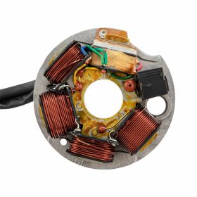 AEL Stator 199495 497654 for electric motors 5 coils and 6 cables included