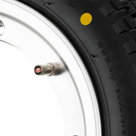 Ruote SIP Classic 3.00-10 in alluminio tubeless 150 km/h argento opaco