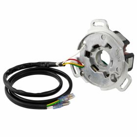 12V ignition with rotor stator regulator and CDI size 25mm