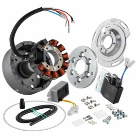 Accensione SIP Performance in acciaio 12 magneti 110W PCD 75mm 9 bobine
