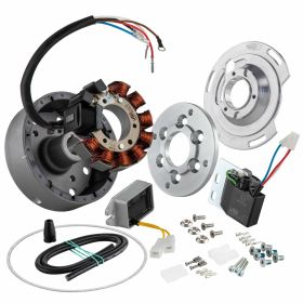 SIP Sport Performance 1250g 12 magneti 110W PCD 75mm 9 bobine pre-regolazione variabile