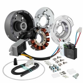 SIP Sport Performance 1250g 12 magneti 110W PCD 75mm 9 bobine pre-regolazione variabile