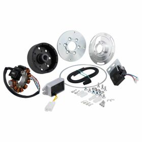 Accensione SIP Performance in acciaio 1250g 12 magneti 110W PCD 98mm
