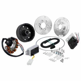 SIP Performance Sport in Acciaio 1250g 12 Magneti 110 Watt PCD 98mm