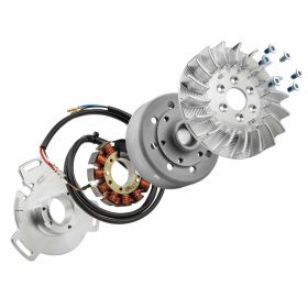 SIP PERFORMANCE Ignition 12V CNC Aluminum 1650g 110W 9 Coils Static Point