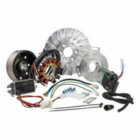 SIP PERFORMANCE 12V DC Ignition in CNC Aluminum Flywheel 1650g and 12 Magnets