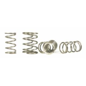SIP 82820000 CLUTCH SPRINGS