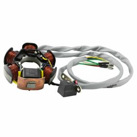 Stator 830294-830293 for engines without flywheel not for ZAPC381