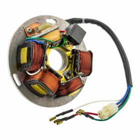 AEL Stator 217866 80W 5 coils 5 wires for electrical applications