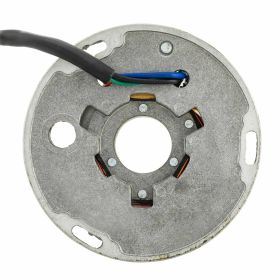 AEL Stator 217866 80W 5 coils 5 wires for electrical applications