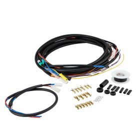 Impianto SIP Elettrico 12V CA compatibile per moto PIAGGIO
