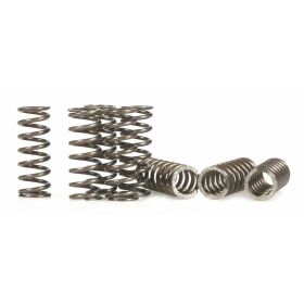 SIP 93121000 CLUTCH SPRINGS