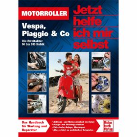 Maintenance Manual for Vespa and Piaggio engines 50-180 cc 240 pages