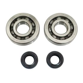 Kit roulements vilebrequin SKF CGN323821