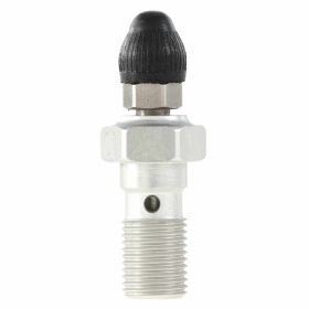SPIEGLER M10x1 Banjo Bolt in stainless steel with threaded bleed screw