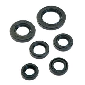 T4TUNE Seal Kit 6 Pieces for Peugeot Buxy/Speedfight