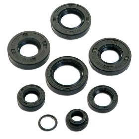 Kit paraoli T4TUNE 8 pezzi per Minarelli Am6