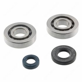 Kit cuscinetti T4TUNE per Pgo Big Max